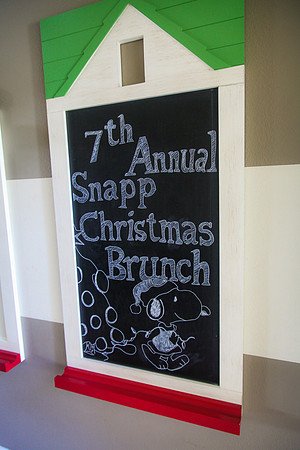 snapp2014